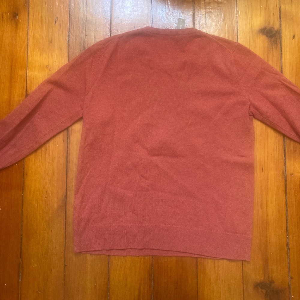 Everlane Cashmere Crew - Burnt Orange - Picture 5 of 10
